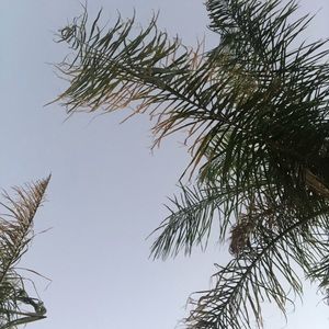 Meet your Posher, Adrienne